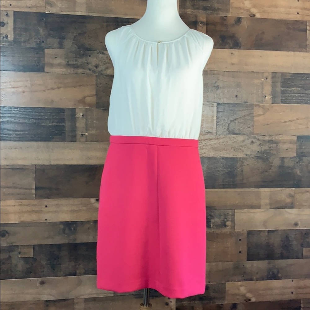 Ann Taylor LOFT Pink & White Dress NWT